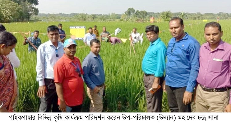 ​পাইকগাছার বিভিন্ন কৃষি কার্যক্রম পরিদর্শন  করলেন কৃষি বিভাগের উপ-পরিচালক