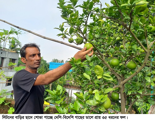 ছাদের বাগানে শোভা পাচ্ছে ৩৫ ধরনের ফলগাছ