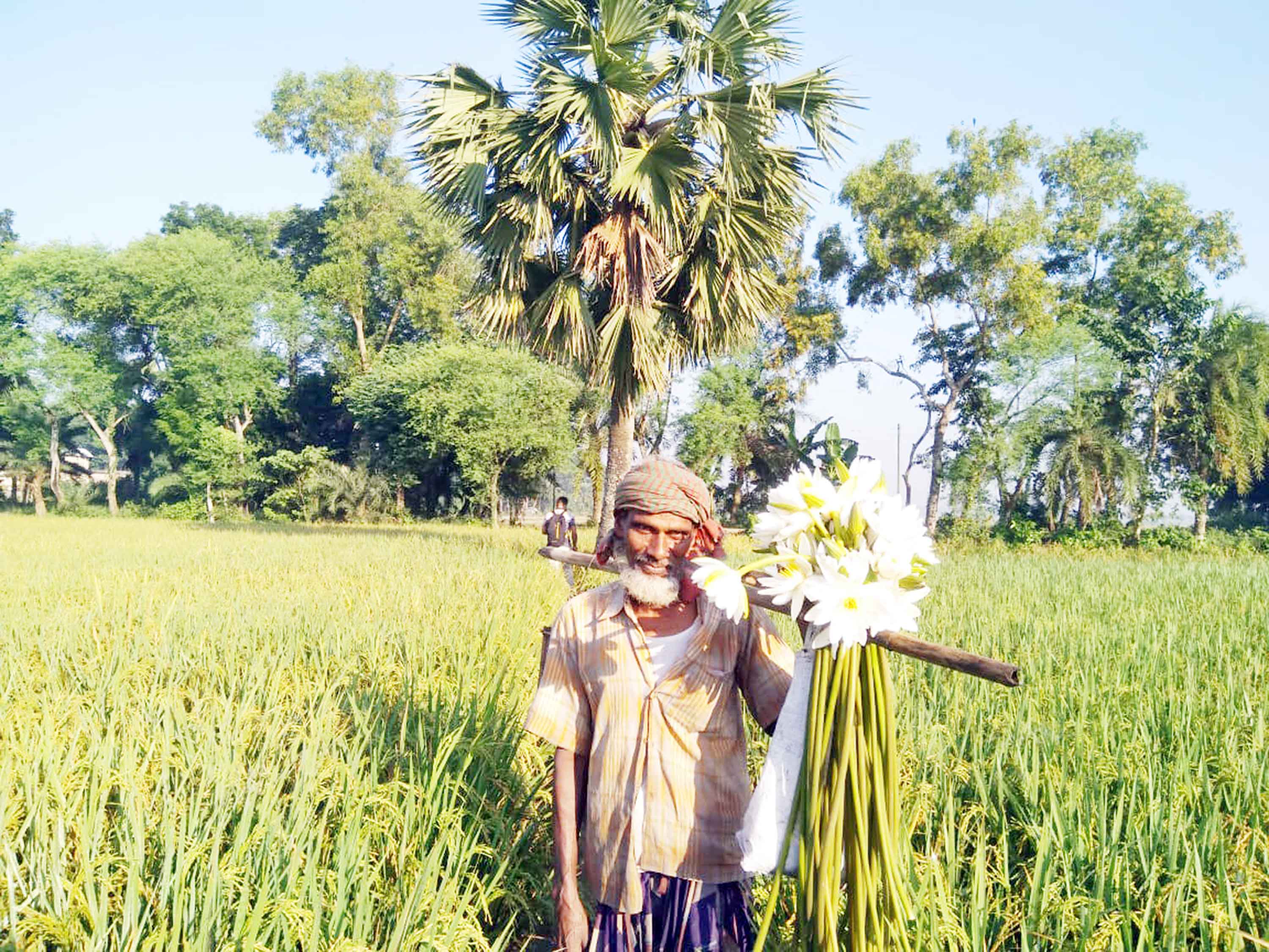 শাপলা ফুলের মুগ্ধতা