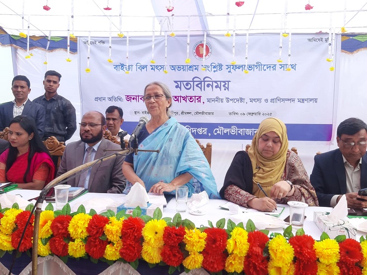 হাওর রক্ষায় কীটনাশক ব্যবহার নিয়ন্ত্রণ করতে হবে : মৎস্য উপদেষ্টা