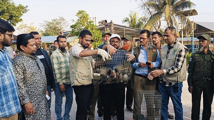 শরীয়তপুরে মিনি চিড়িয়াখানা থেকে দশ প্রজাতির ৩১ বন্যপ্রাণী উদ্ধার