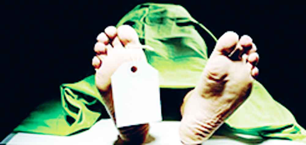 চার জেলায় সড়কে ঝরল ৭ প্রাণ