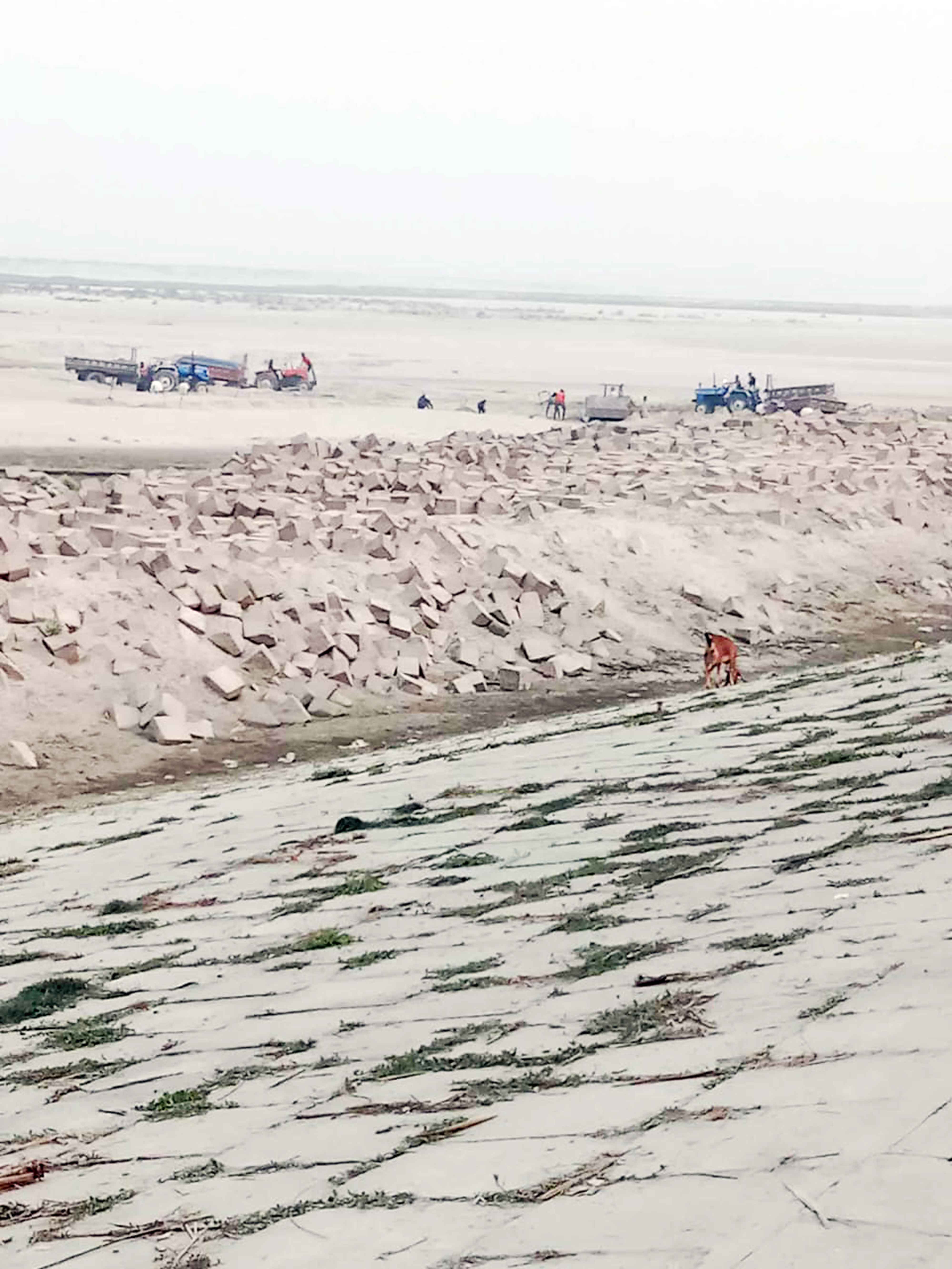 কুড়িগ্রামের ব্রহ্মপুত্র নদে বালু লুটের মহোৎসব!