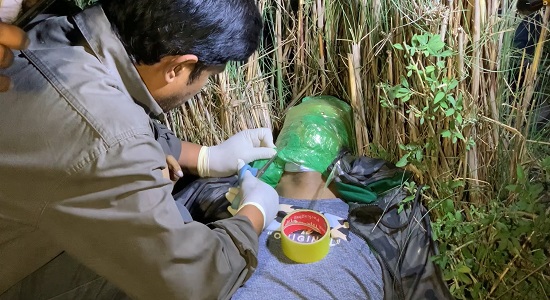 পদ্মাপাড়ে মুখে স্কচটেপ প্যাঁচানো যুবকের লাশ