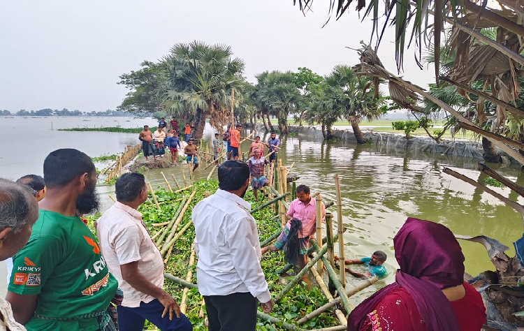 মণিরামপুরে বেড়িবাঁধ ভেঙ্গে সহস্রাধিক বিঘা বোরো ক্ষেত প্লাবিত