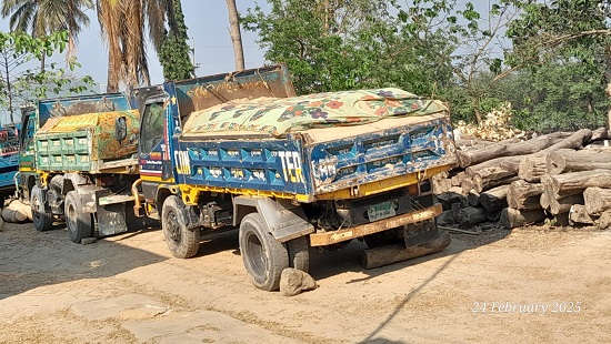 উখিয়ায় অবৈধ বালুভর্তি ৩টি ড্রামট্রাক জব্দ 