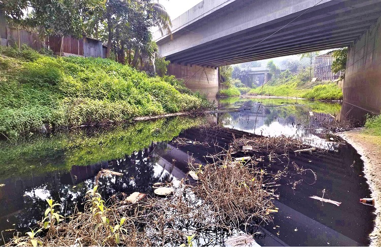 টাঙ্গাইলে সাদিয়া টেক্সটাইলের রাসায়নিক শিল্পবর্জ্যে দূষিত হচ্ছে নদী-খাল