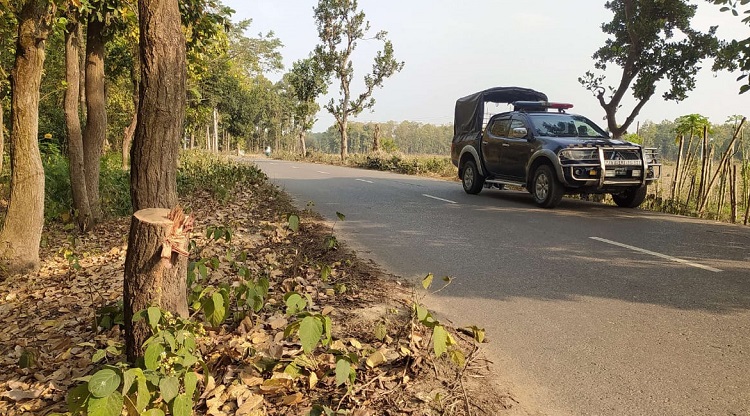 সড়কে গাছ ফেলে শিক্ষা সফরের ৪ বাসে ডাকাতি