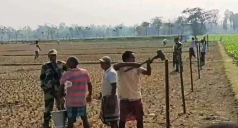 আবারও কাঁটাতারের বেড়া দিল বিএসএফ