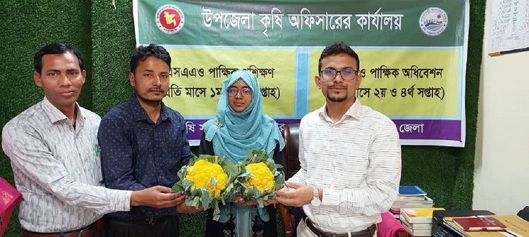 লামায় রঙ্গিন ফুলকপি চাষে সফল অনুপম বড়ুয়া