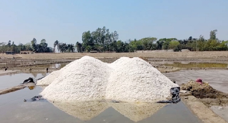 অভাব অনটনে দিন কাটছে কুতুবদিয়ার প্রান্তিক লবণ চাষীদের