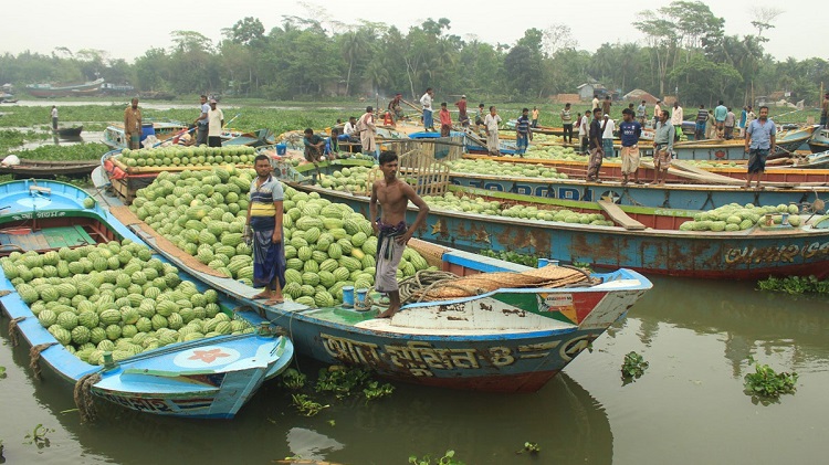 তরমুজের ট্রলারে ডাকাতি, গণপিটুনিতে নিহত ১