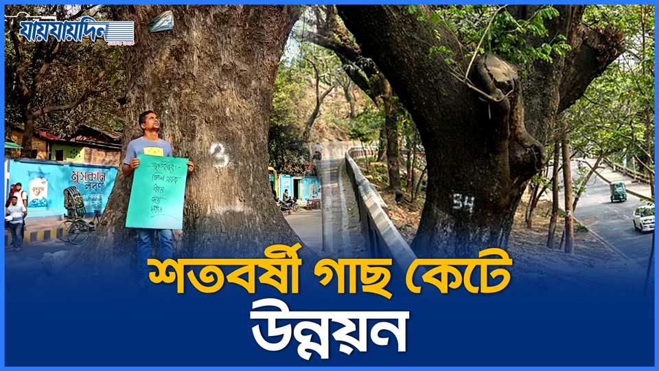 চট্টগ্রাম নগরে কাটা হচ্ছে শত বছরের পুরনো গাছ